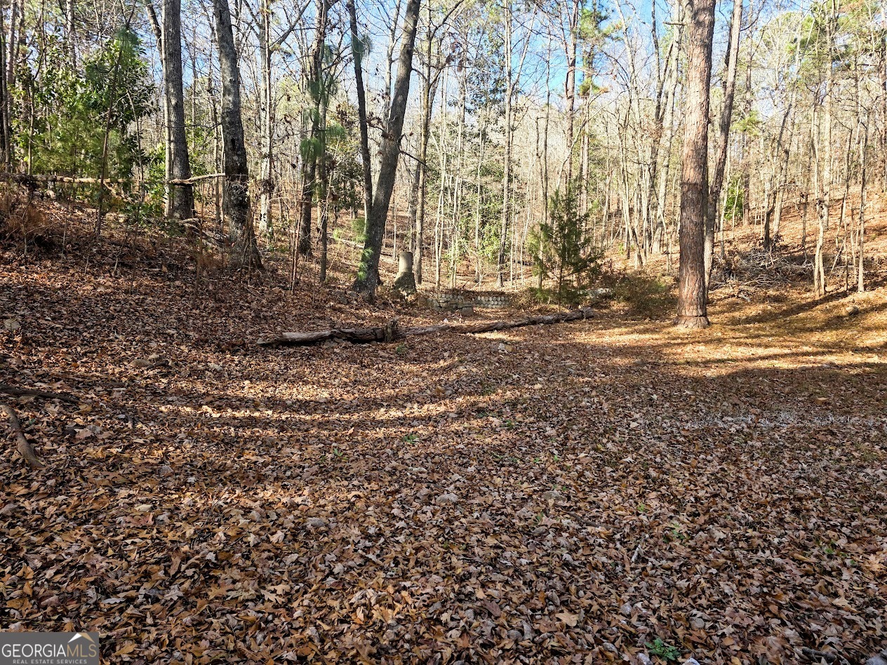 2226 Pickard Road Thomaston, GA 30286 - Photo 21 of 23