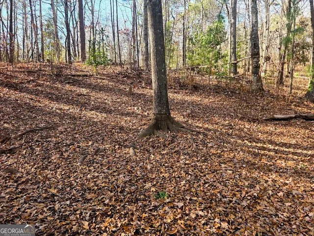 $195,000 | 2226 Pickard Road, Thomaston, GA 30286