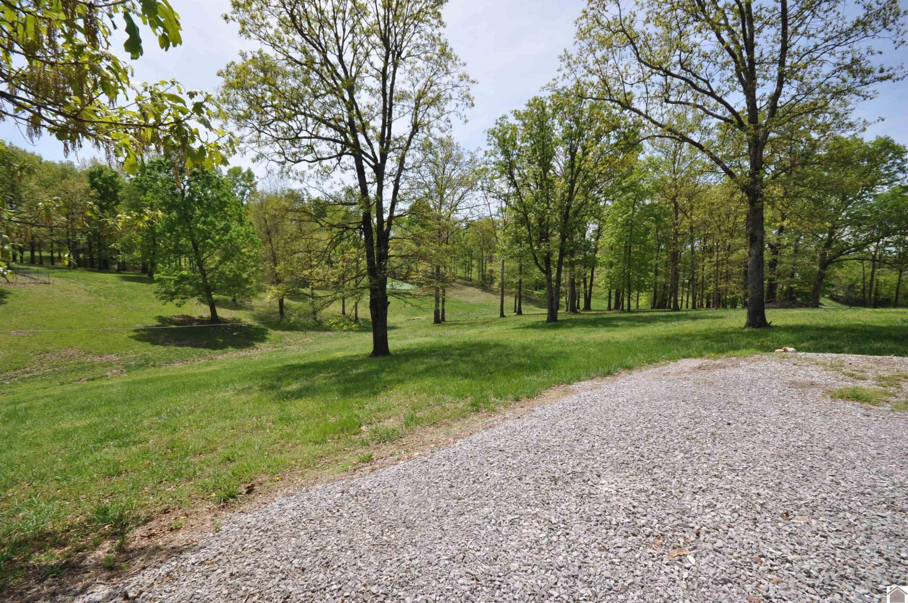 725 Pleasantview Drive Grand Rivers, KY 42045 - Photo 9 of 33 Photo 9