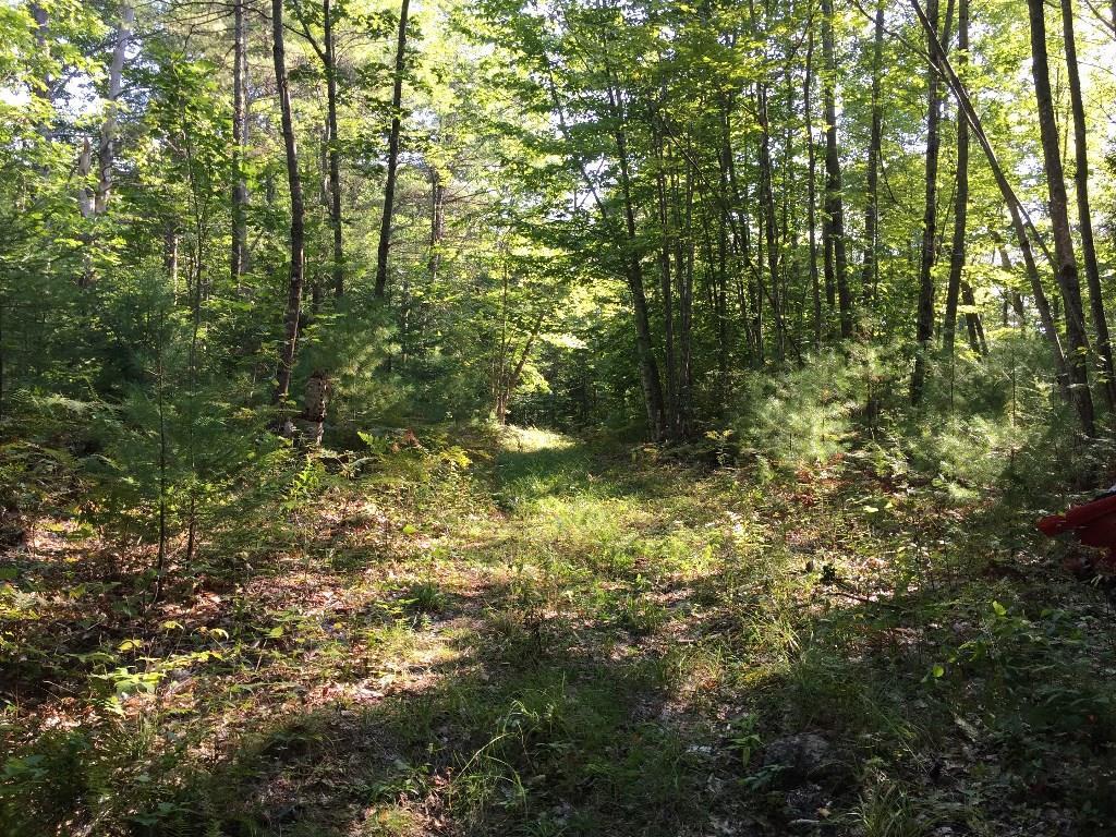 222-228 Harrison Road Oxford, ME 04270 - Photo 27 of 34 Photo