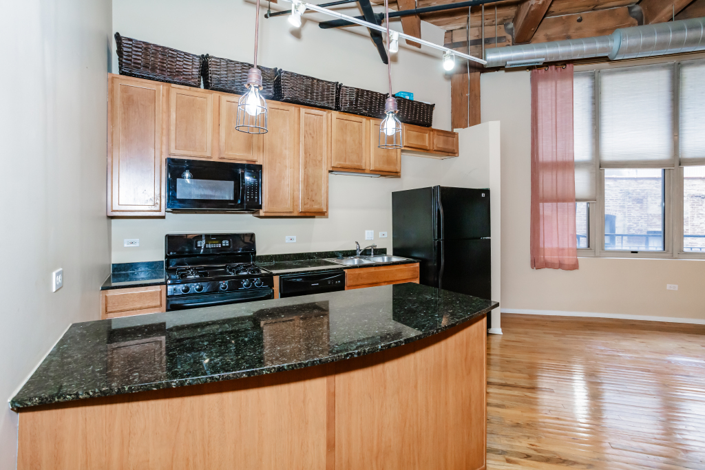 1500 West Monroe Street, Unit 307 Chicago, IL 60607 - Photo 6 of 14 Gallery Image 6