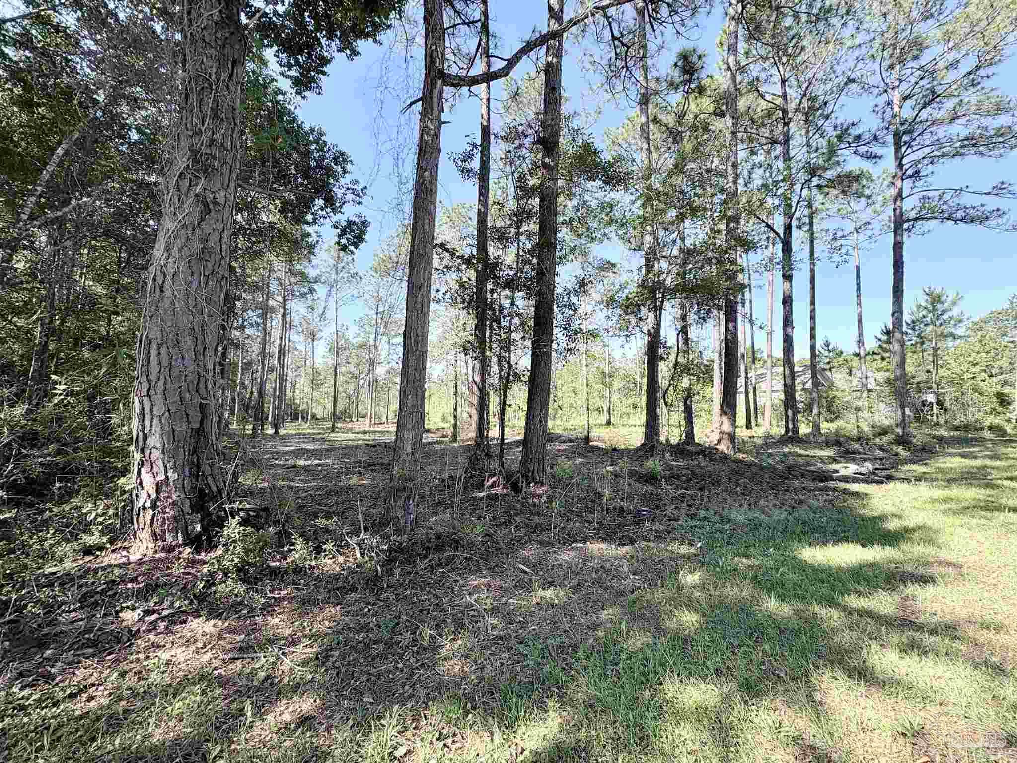 Del Monte Street Milton, FL 32583 - Photo 4 of 18