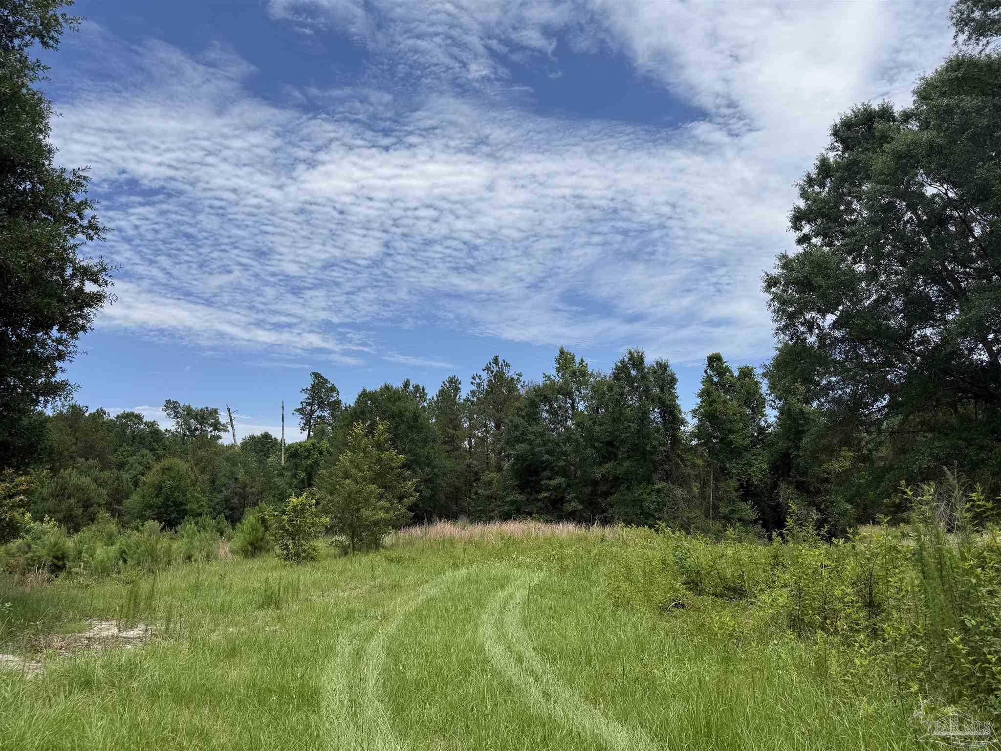 296 Salters Lake Road Century, FL 32535 - Photo 18 of 34