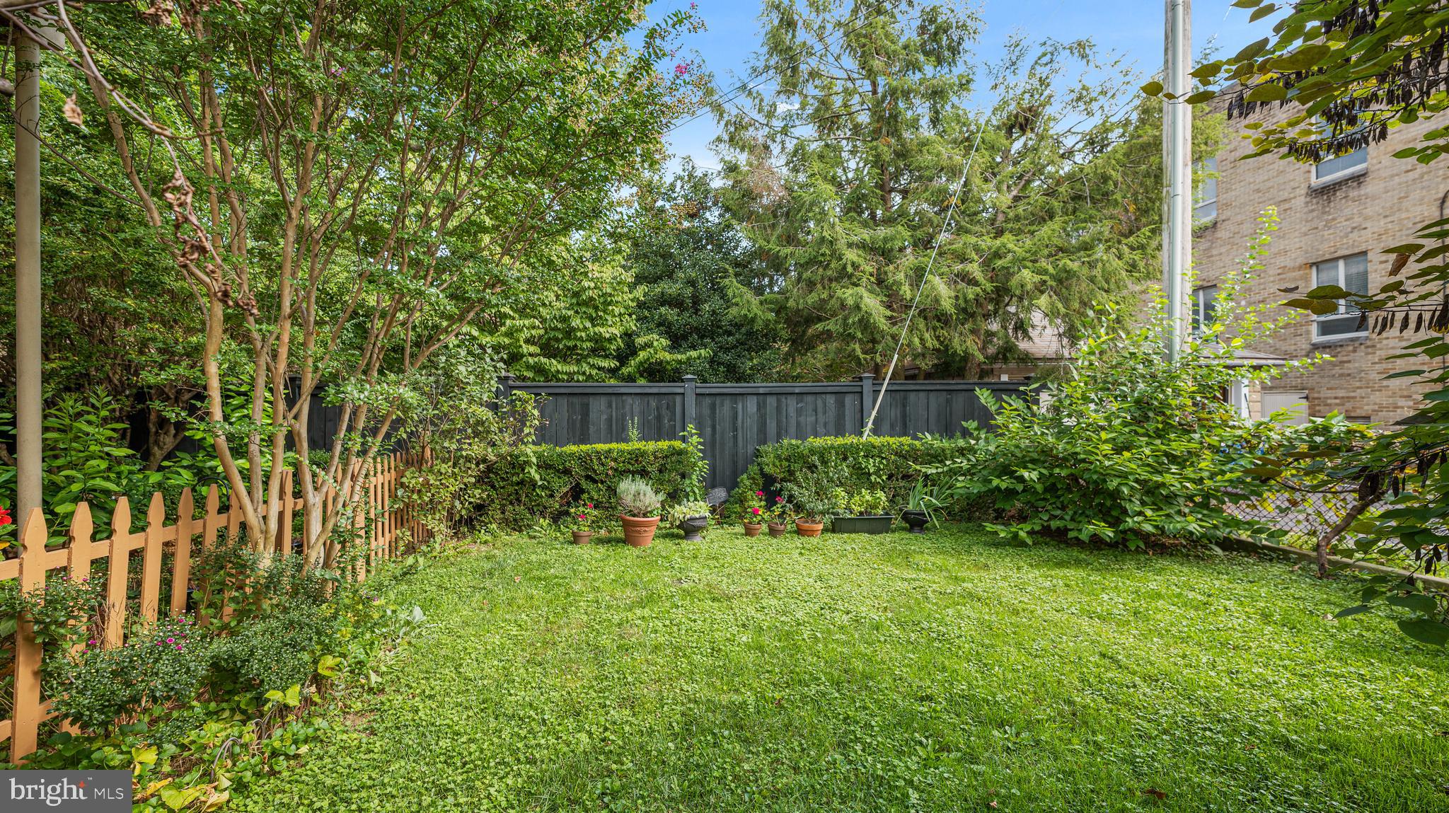 130 West 3rd Street Frederick, MD 21701 - Photo 26 of 52 REAR LAWN