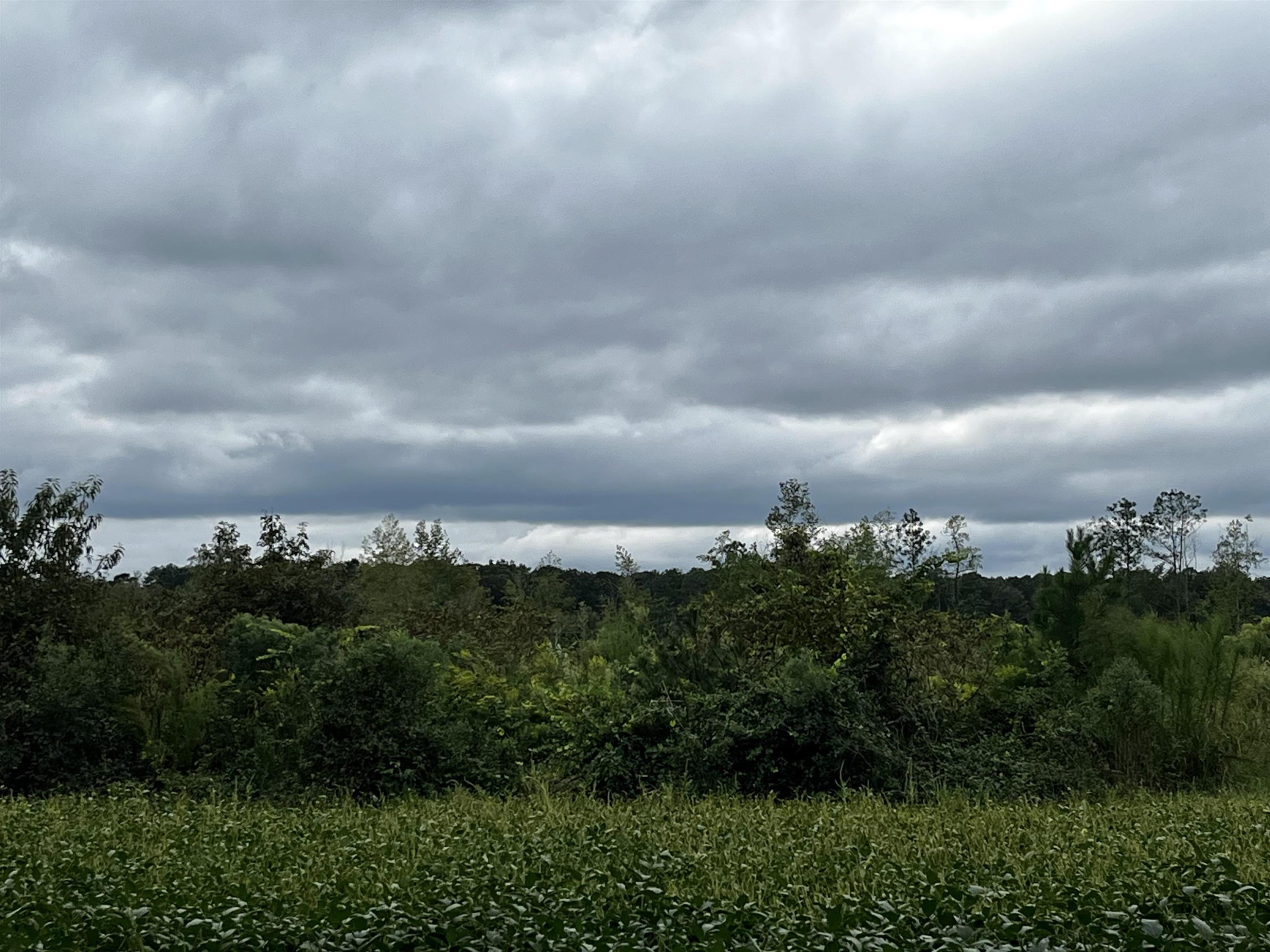 a view of a city and green space