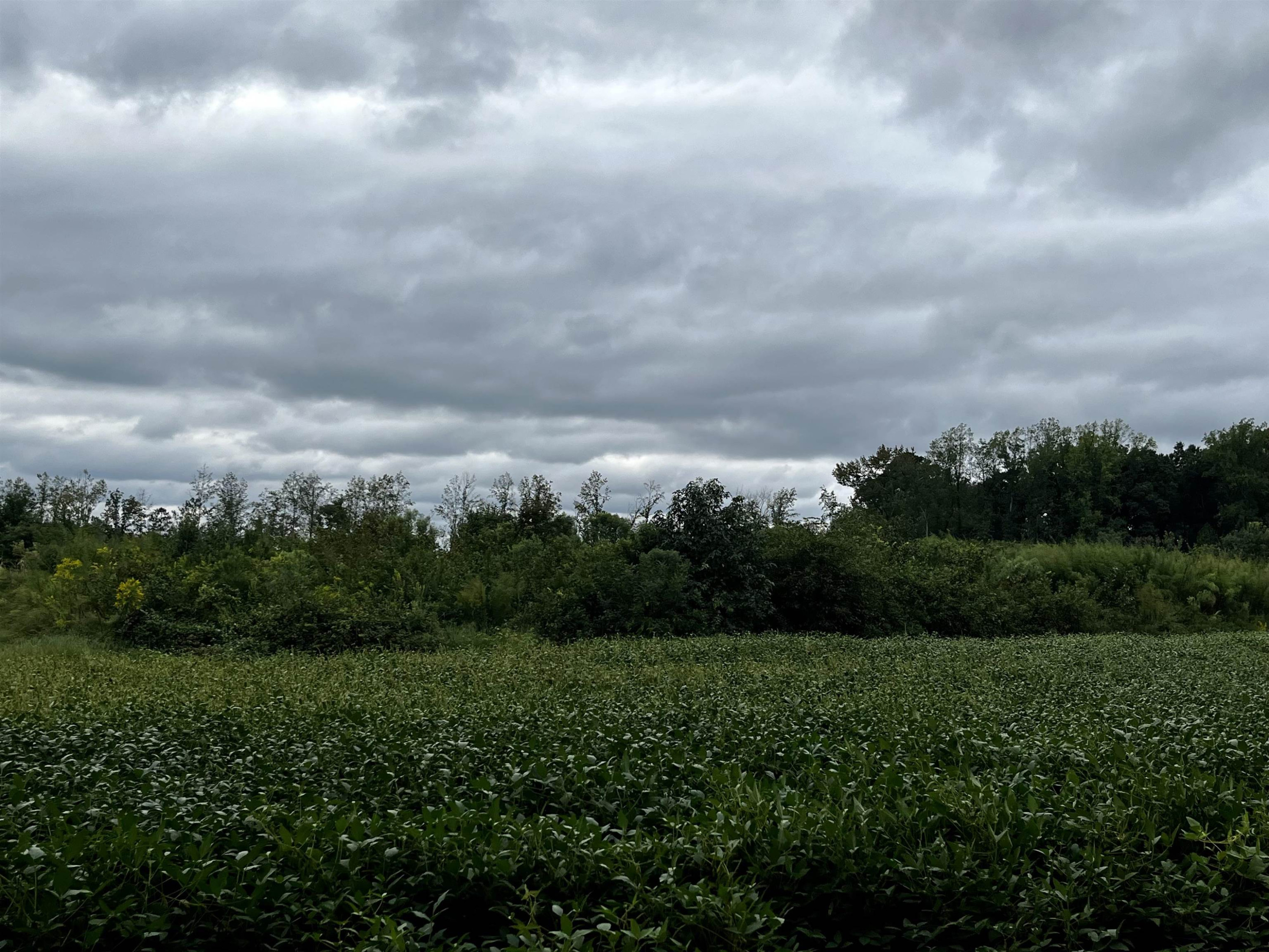 527 Sam Narron Road Middlesex, NC 27557 - Photo 2 of 5 a view of city and green space