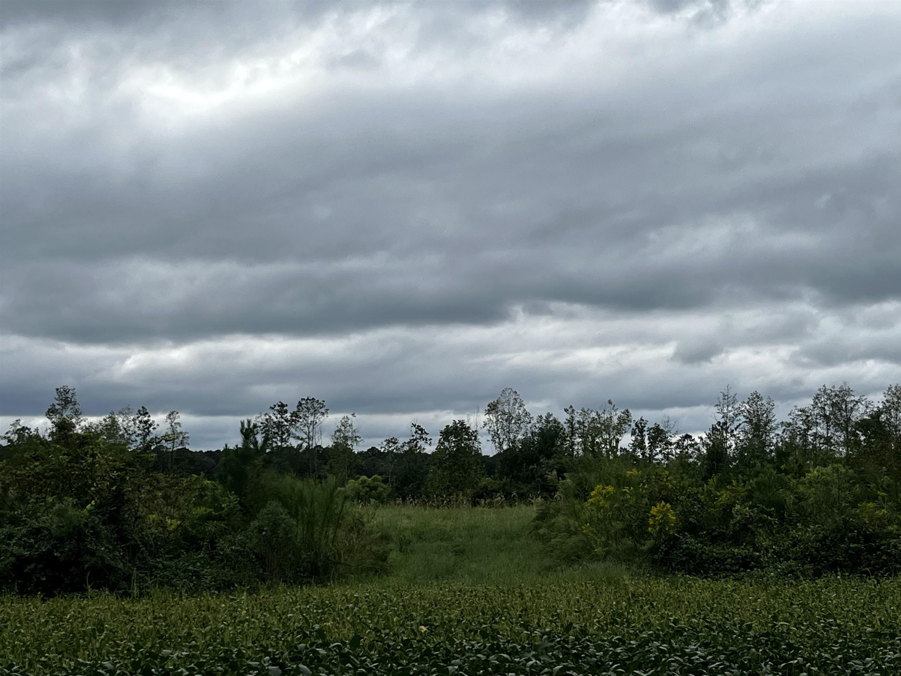527 Sam Narron Road Middlesex, NC 27557 - Photo 4 of 5 an aerial view of a city