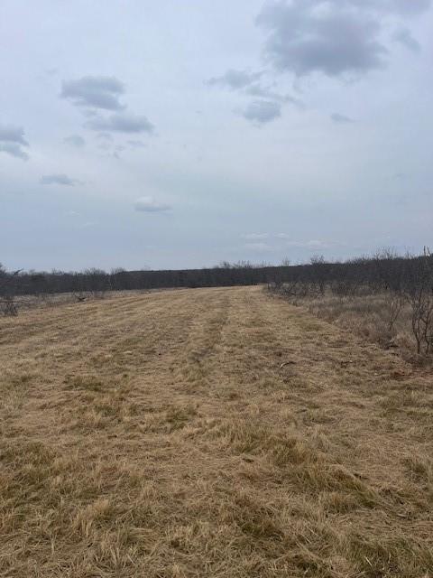 17 Ac Burwick Road Jacksboro, TX 76458 - Photo 2 of 12 a view of an ocean