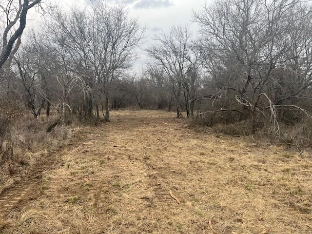 17 Ac Burwick Road Jacksboro, TX 76458 - Photo 3 of 12 a view of backyard with trees