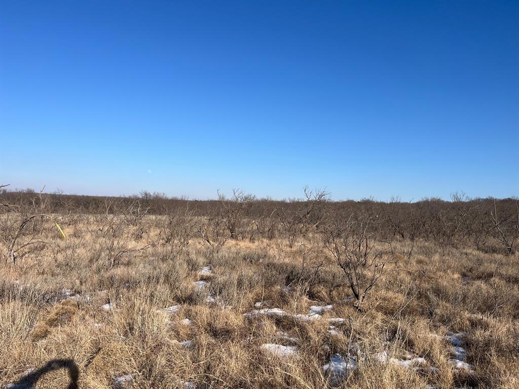 17 Ac Burwick Road Jacksboro, TX 76458 - Photo 5 of 12 a view of a city