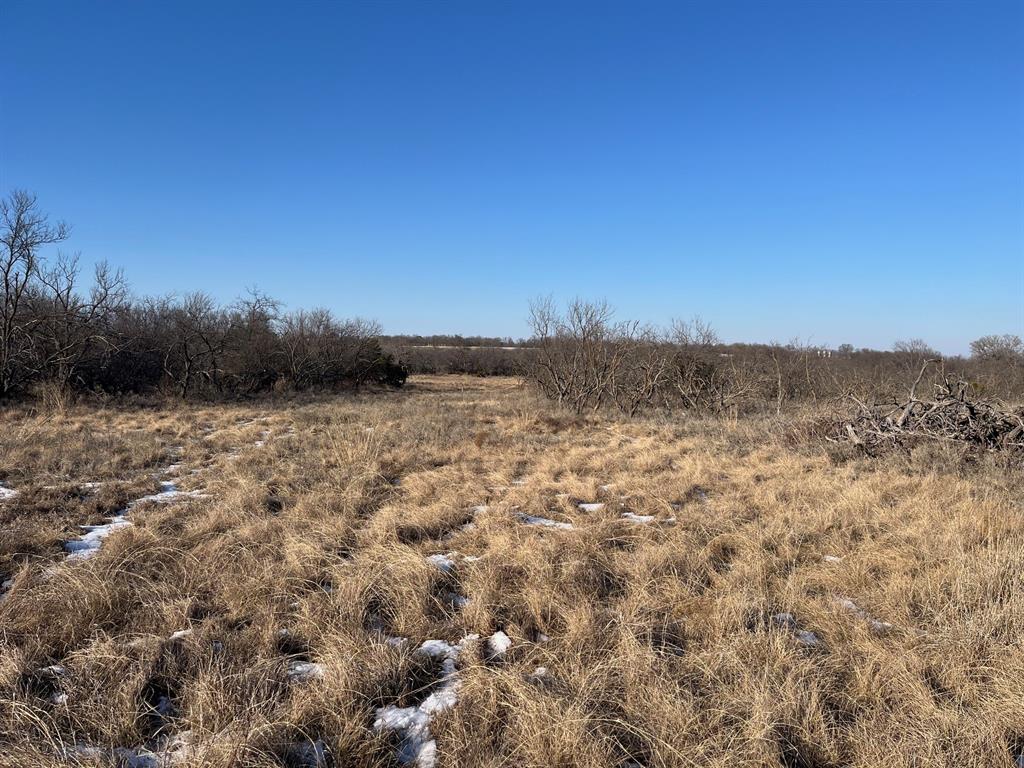 17 Ac Burwick Road Jacksboro, TX 76458 - Photo 6 of 12 a view of a field
