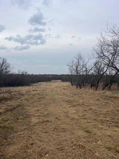 17 Ac Burwick Road Jacksboro, TX 76458 - Photo 7 of 12 a view of lake