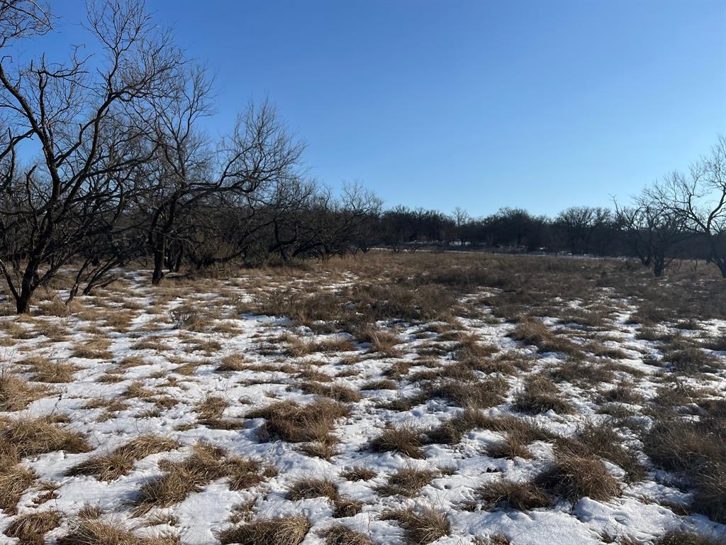 17 Ac Burwick Road Jacksboro, TX 76458 - Photo 9 of 12 a view of a lake with mountains in the background