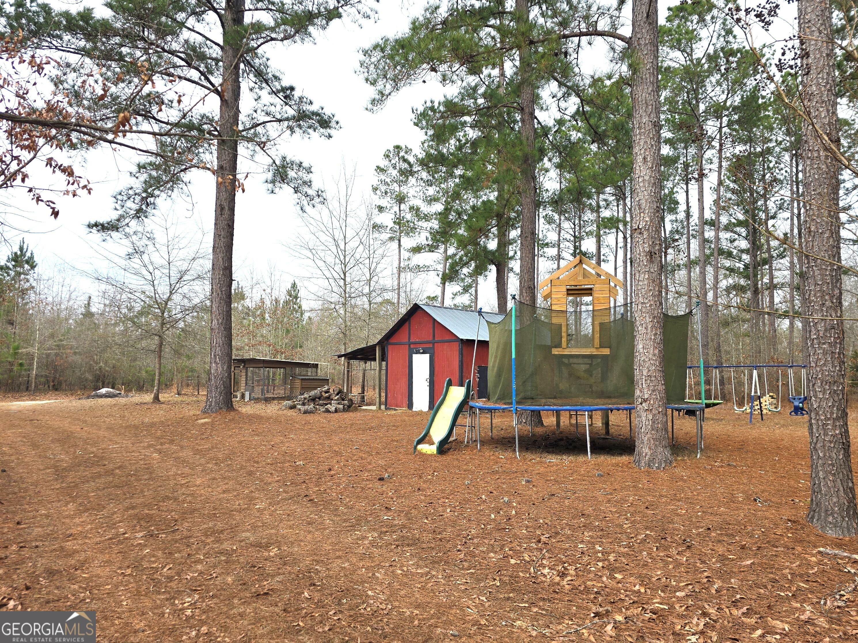 5500 Highway 88 Stapleton, GA 30823 - Photo 4 of 21