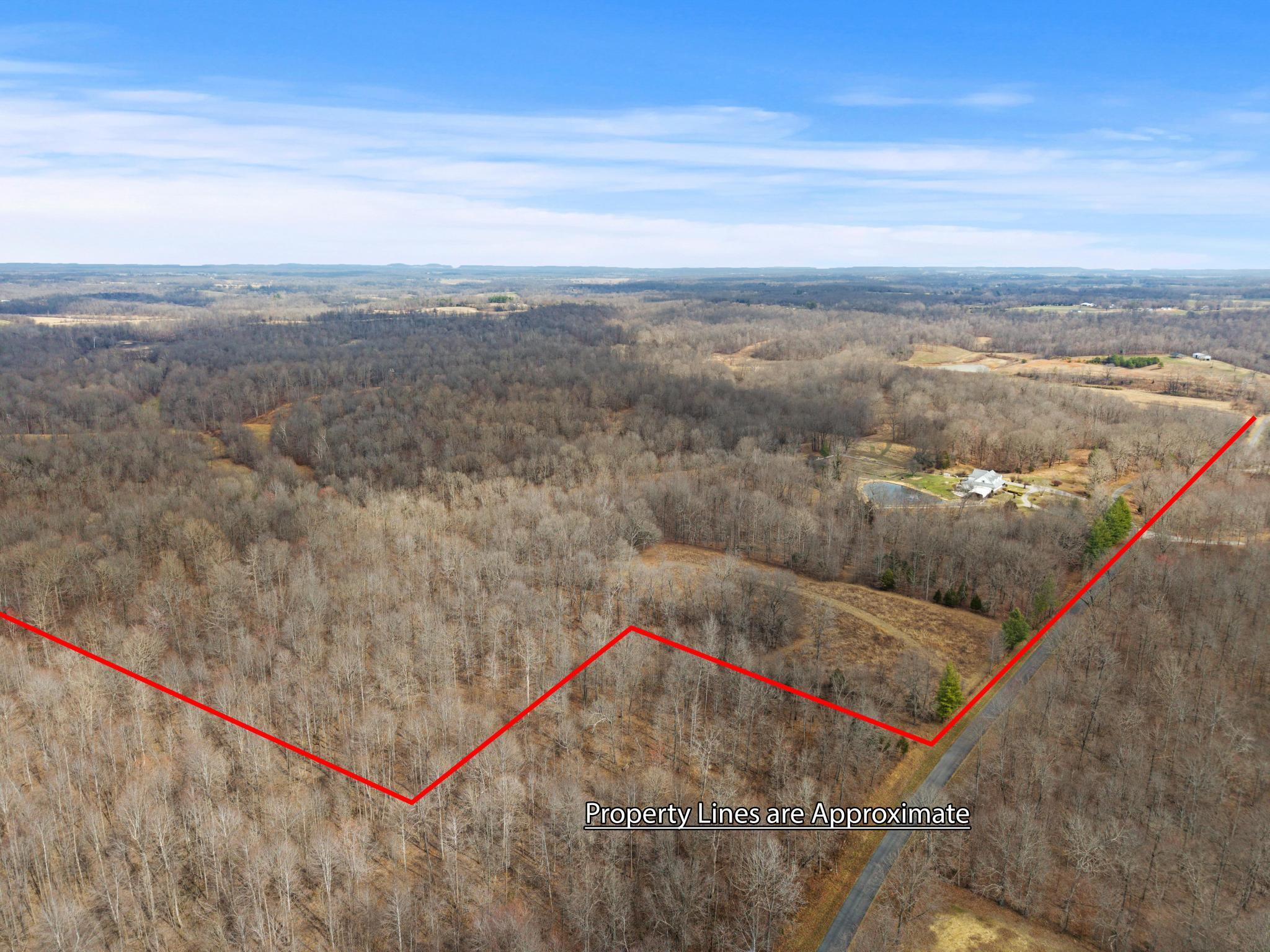 74.19 L Bill Thompson Road Kuttawa, KY 42055 - Photo 3 of 7 DJI_20260304115317_0034_D copy