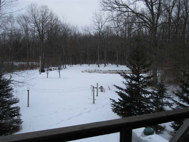 2480 South Iva Road Hemlock, MI 48626 - Photo 2 of 19 20057293-1.JPG