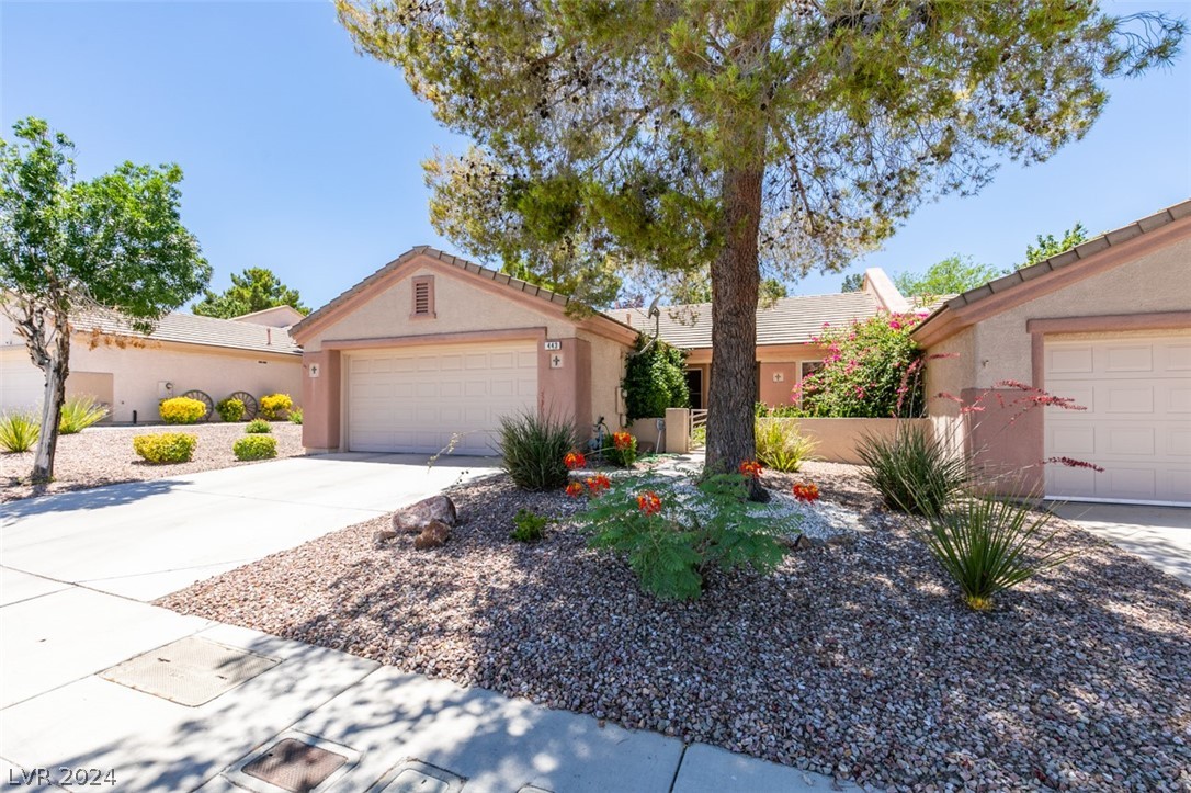 443 Tatum Ridge Street Henderson, NV 89012 - Photo 36 of 43