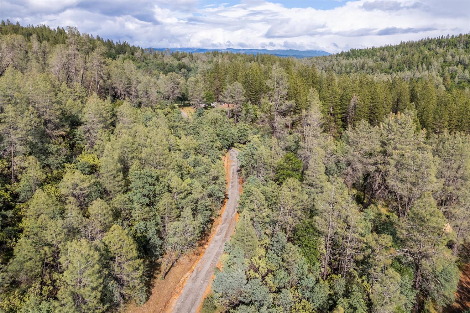 0 Donkey Mine Road Oak Run, CA 96069 - Photo 10 of 19 Gallery Image 10