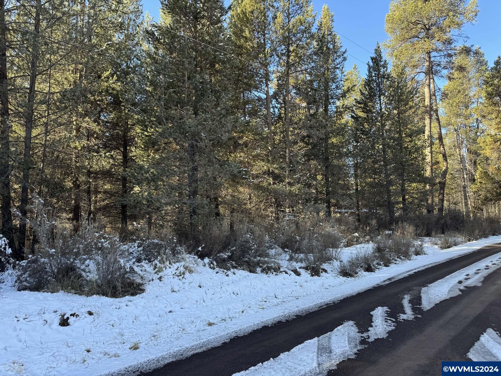 Brook Trout Lane Chiloquin, OR 97624 - Photo 11 of 18