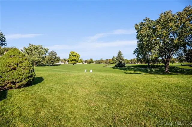 a view of a field with of trees