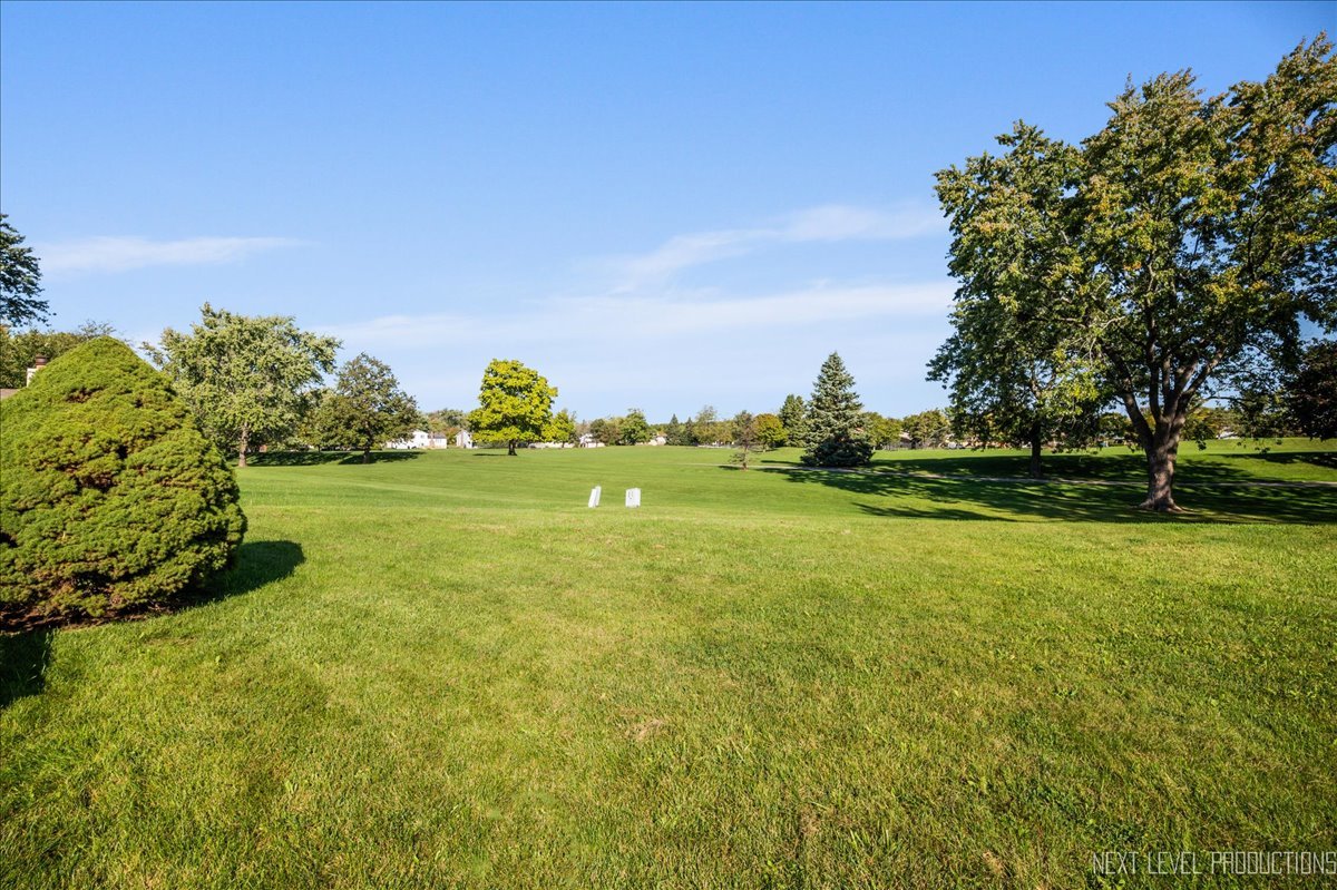 5628 Crestwood Road Matteson, IL 60443 - Photo 28 of 29 a view of a field with of trees