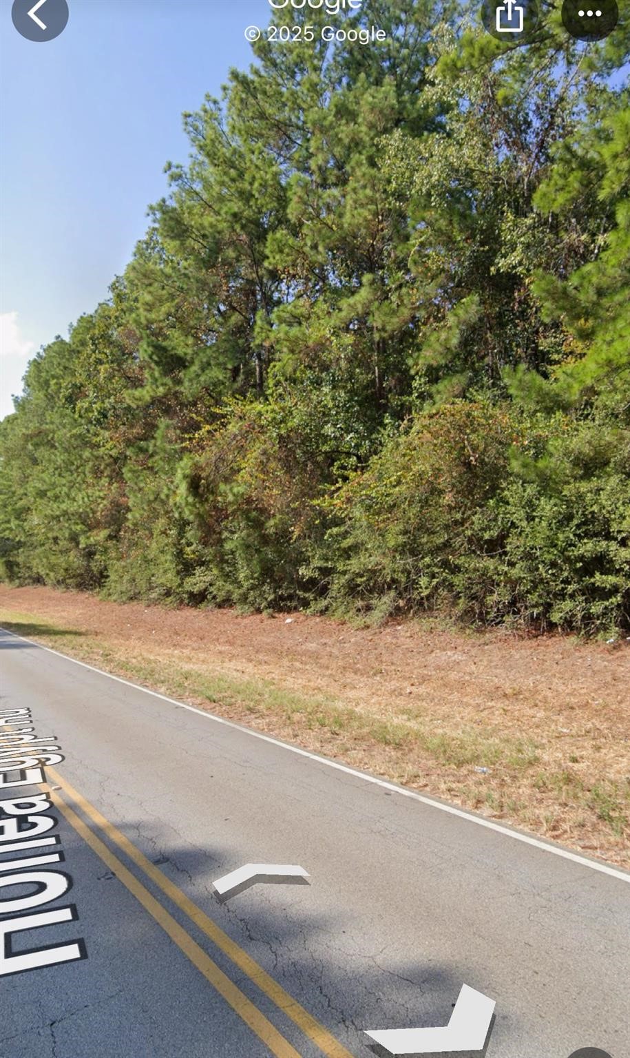 a view of a yard and street view