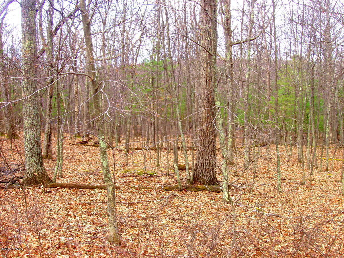 149 Pebble Rock Road Lackawaxen, PA 18435 - Photo 1 of 7