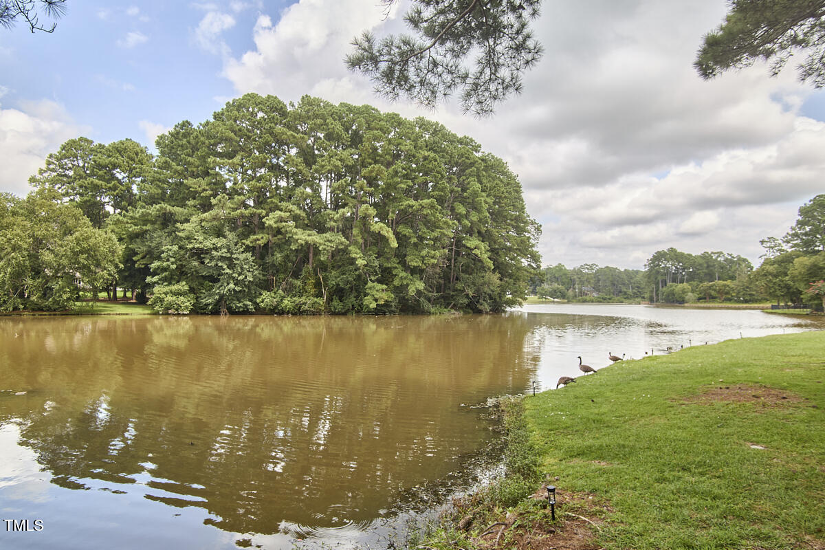 1344 Longleaf Drive Fayetteville, NC 28305 - Photo 46 of 46 a view of a lake from a yard