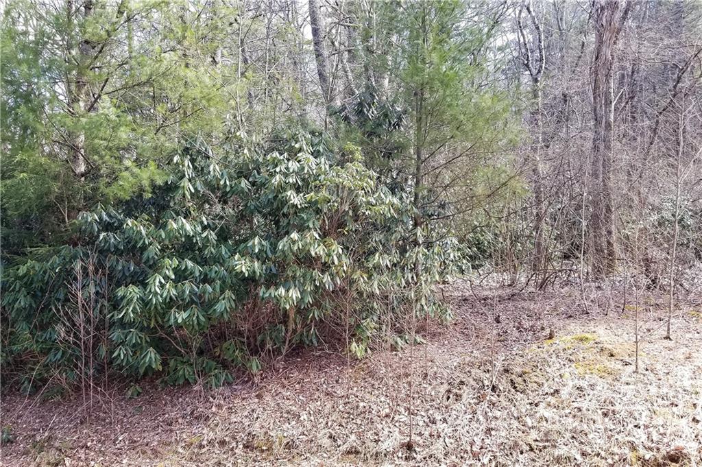 6315 Gingercake Road Newland, NC 28657 - Photo 3 of 6 Gallery Image 3
