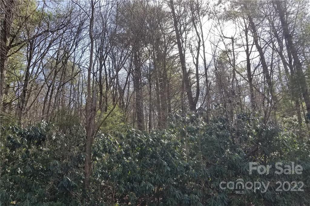 6315 Gingercake Road Newland, NC 28657 - Photo 6 of 6 Gallery Image 6