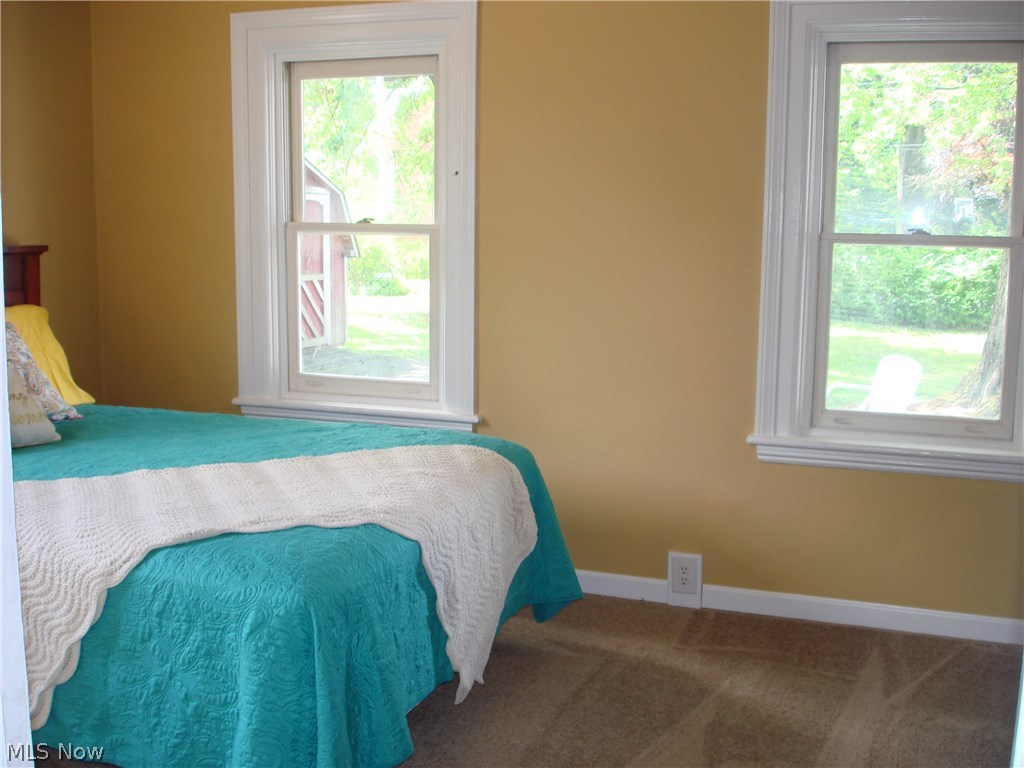 919 Richmond Road Cleveland, OH 44124 - Photo 27 of 35 Enjoy your master bedroom with new carpet, paint and walk-in closet!