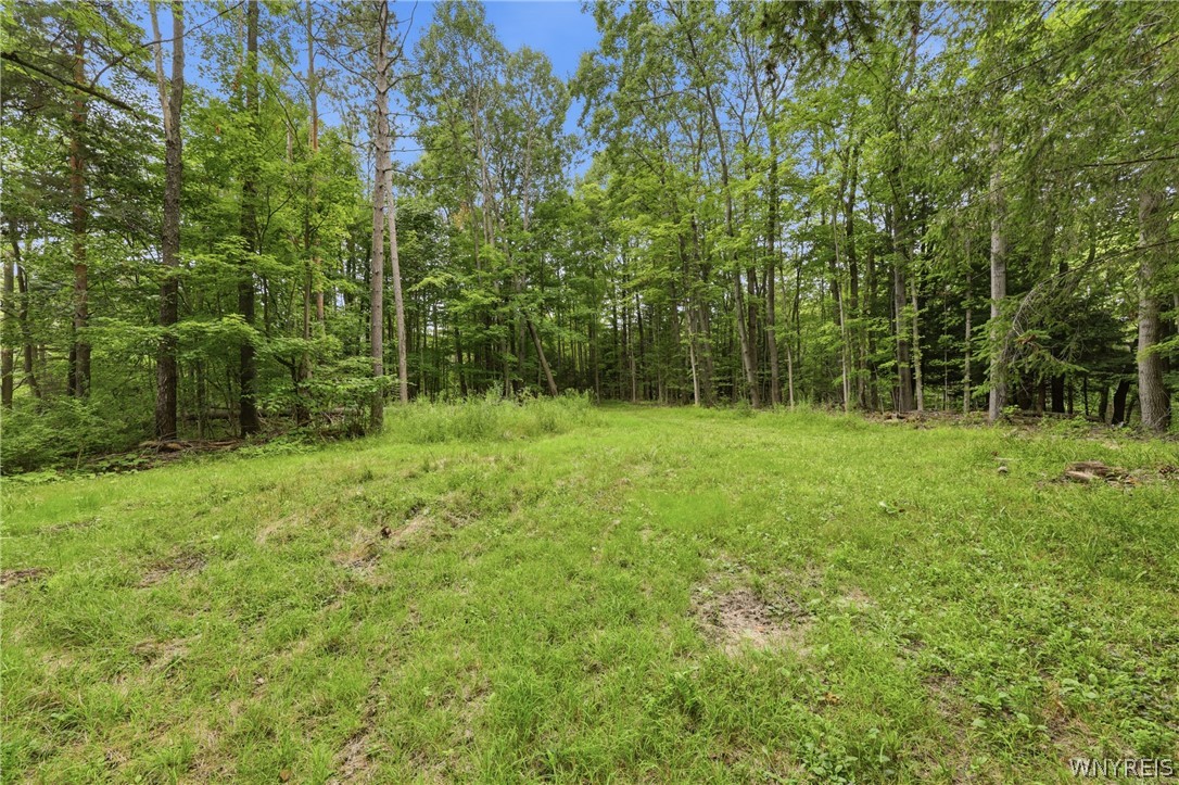 10788 Partridge Road Colden, NY 14080 - Photo 9 of 24