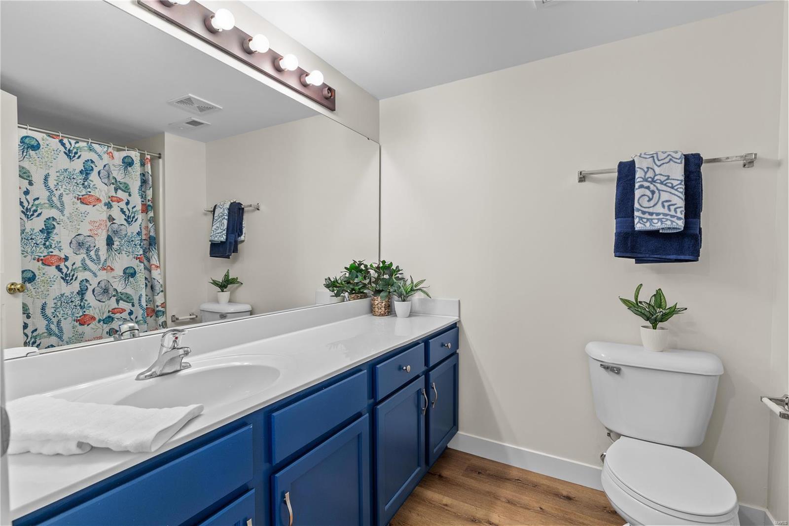 4300 Spring Creek Lane O'Fallon, MO 63368 - Photo 17 of 24