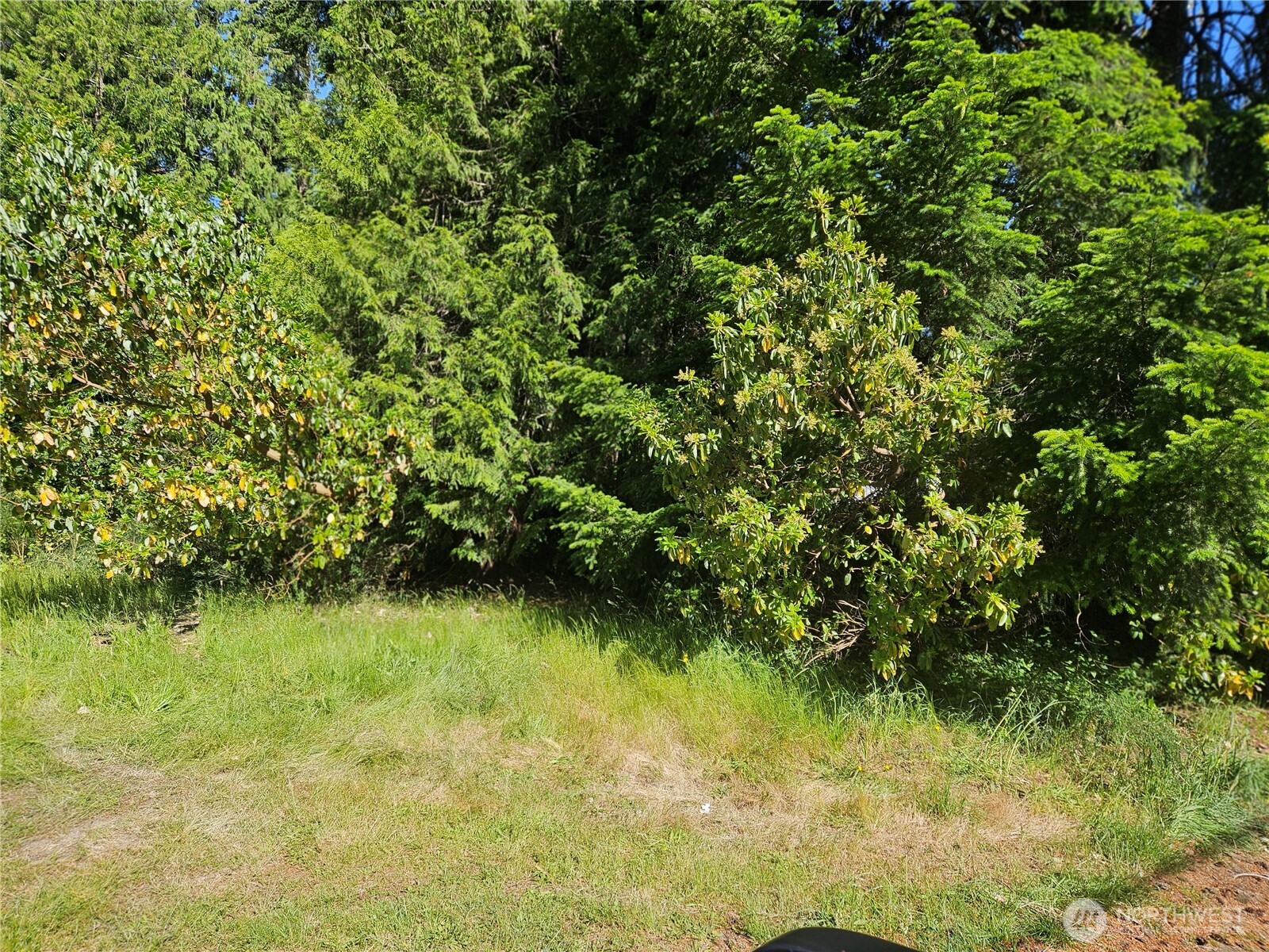 15140 Labrador Lane Rochester, WA 98579 - Photo 2 of 2