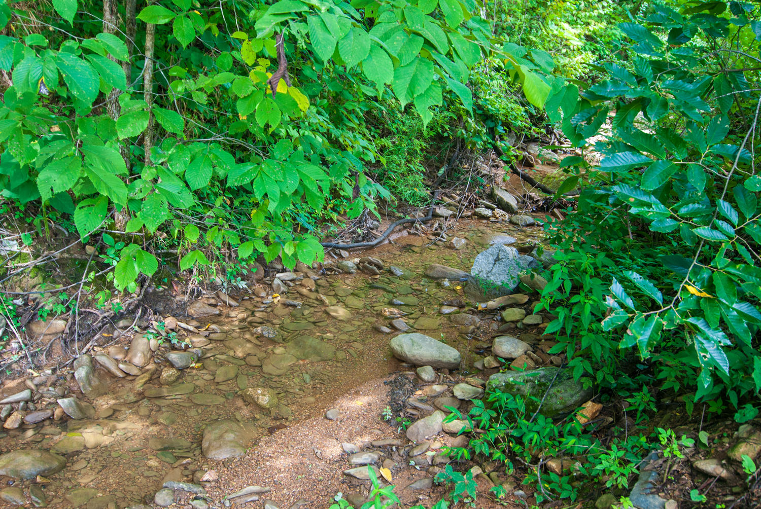 737 Rudd Hollow Road Townsend, TN 37882 - Photo 40 of 40 DSC_0058
