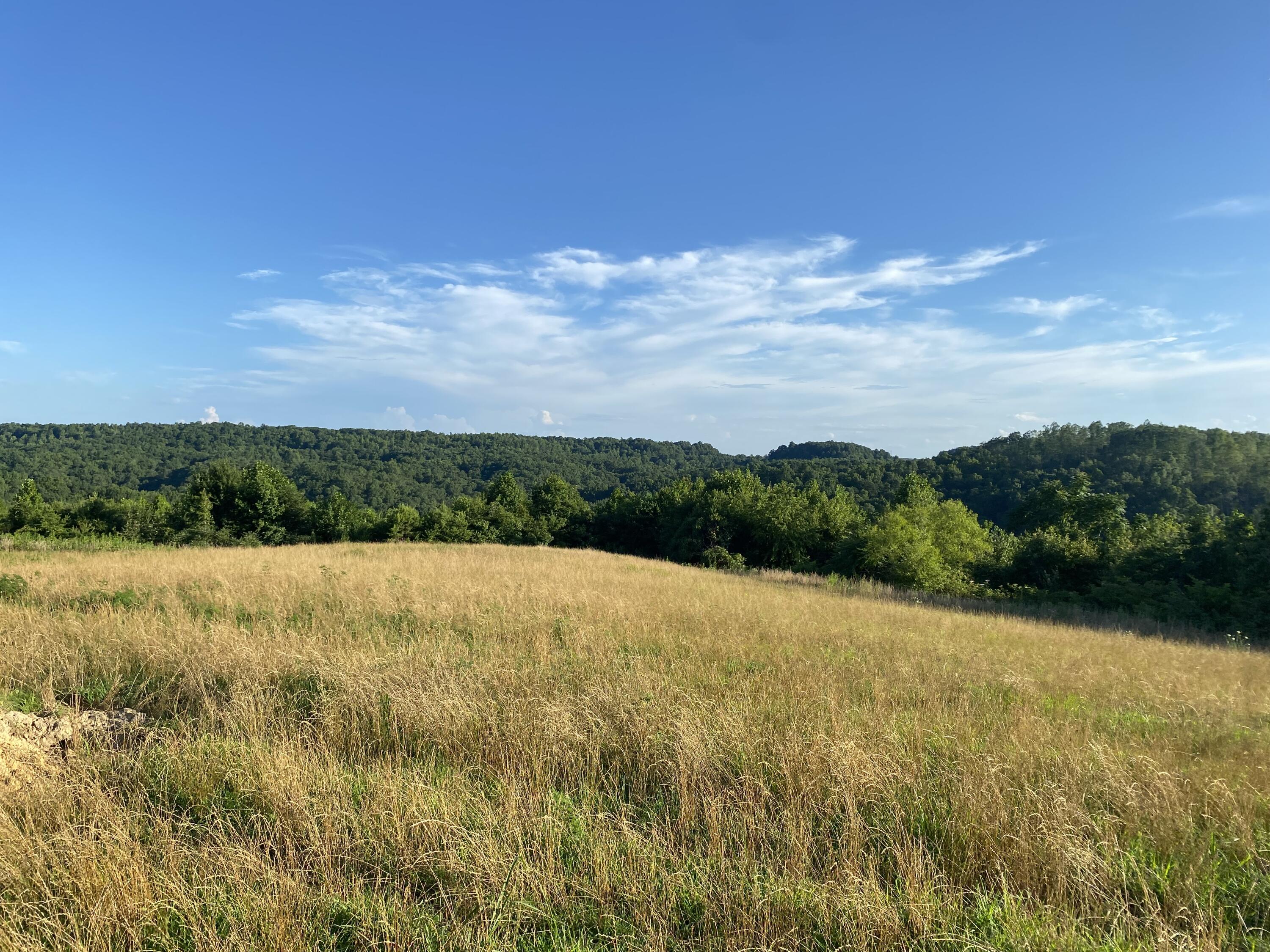 10 Adkins-Arthur Road Somerset, KY 42501 - Photo 7 of 12 IMG_0224