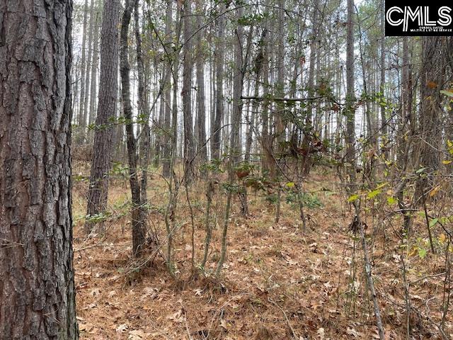 Lot 104 Pineland Road Chappells, SC 29037 - Photo 14 of 25