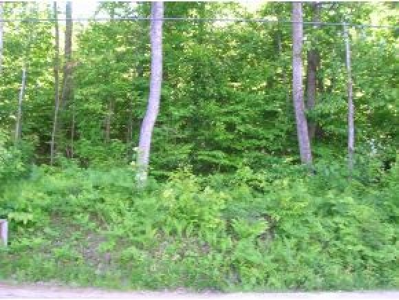 Lot 118 Cass Mill Road Alexandria, NH 03222 - Photo 5 of 7 Gallery Image 5