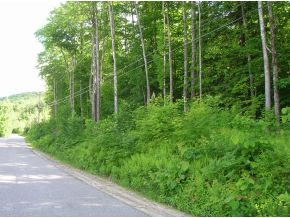 Lot 118 Cass Mill Road Alexandria, NH 03222 - Photo 6 of 7 Gallery Image 6