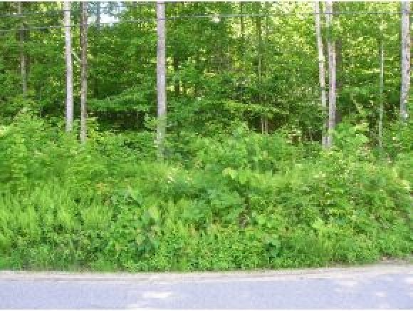 Lot 118 Cass Mill Road Alexandria, NH 03222 - Photo 7 of 7 Gallery Image 7