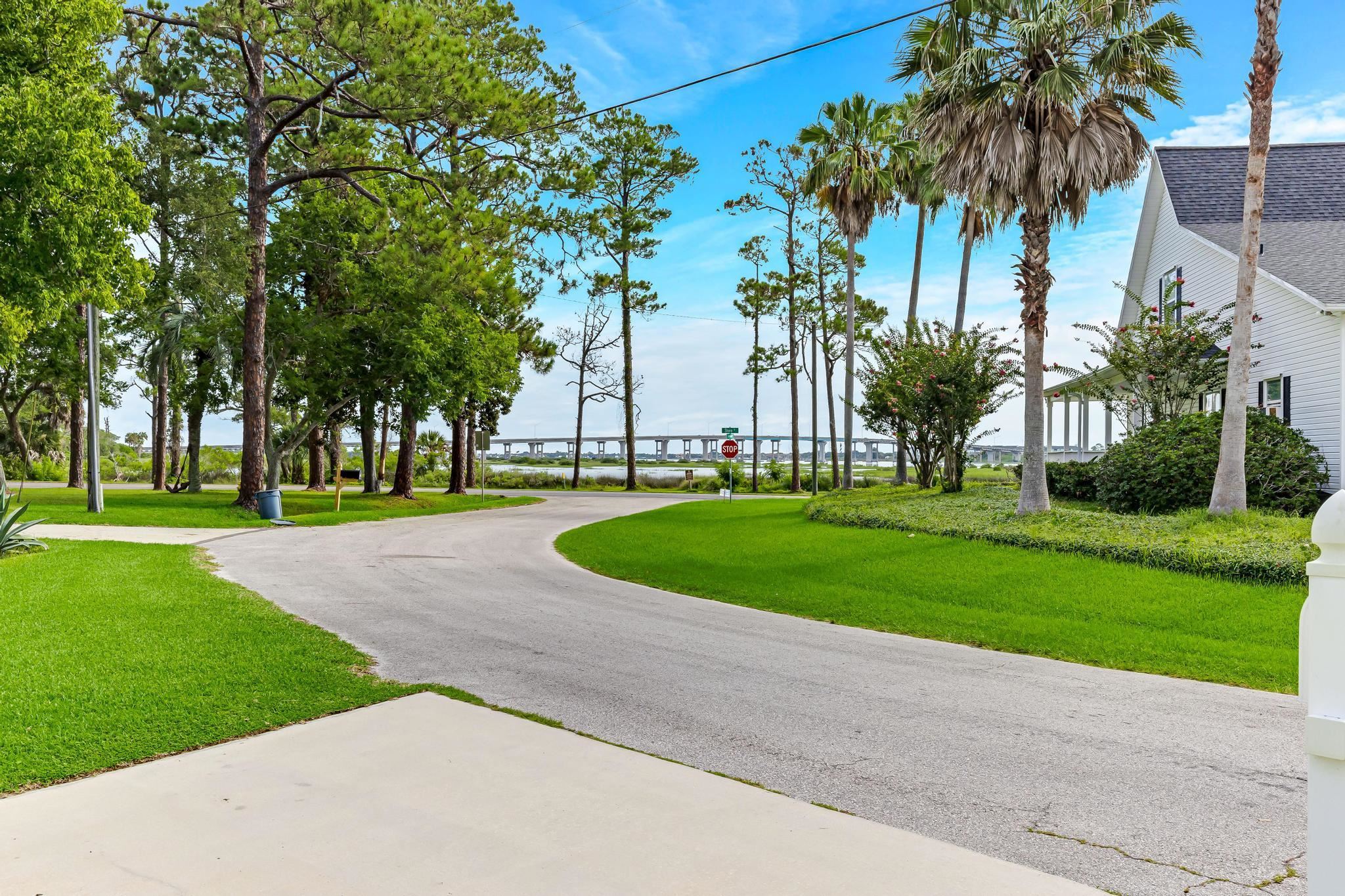 110 Terrapin Road St. Augustine, FL 32086 - Photo 44 of 46 a view of a park with palm trees