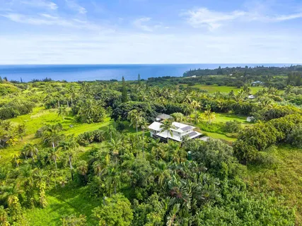 a view of a city with lush green forest
