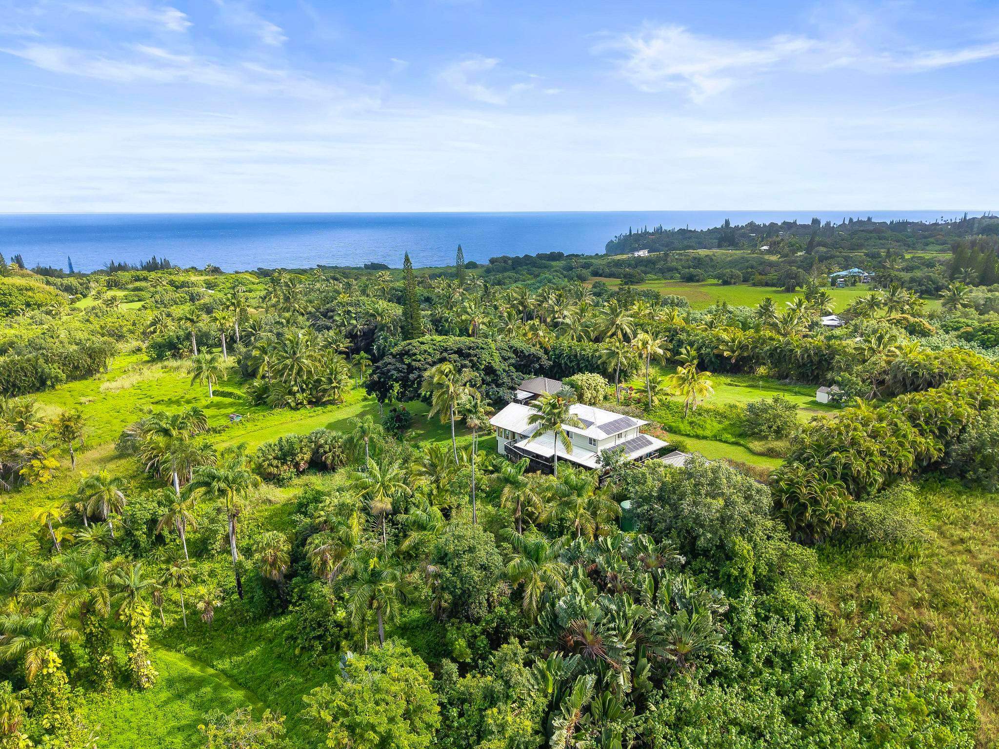 a view of a city with lush green forest