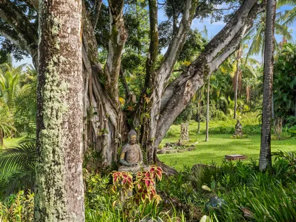 a view of yard with green space