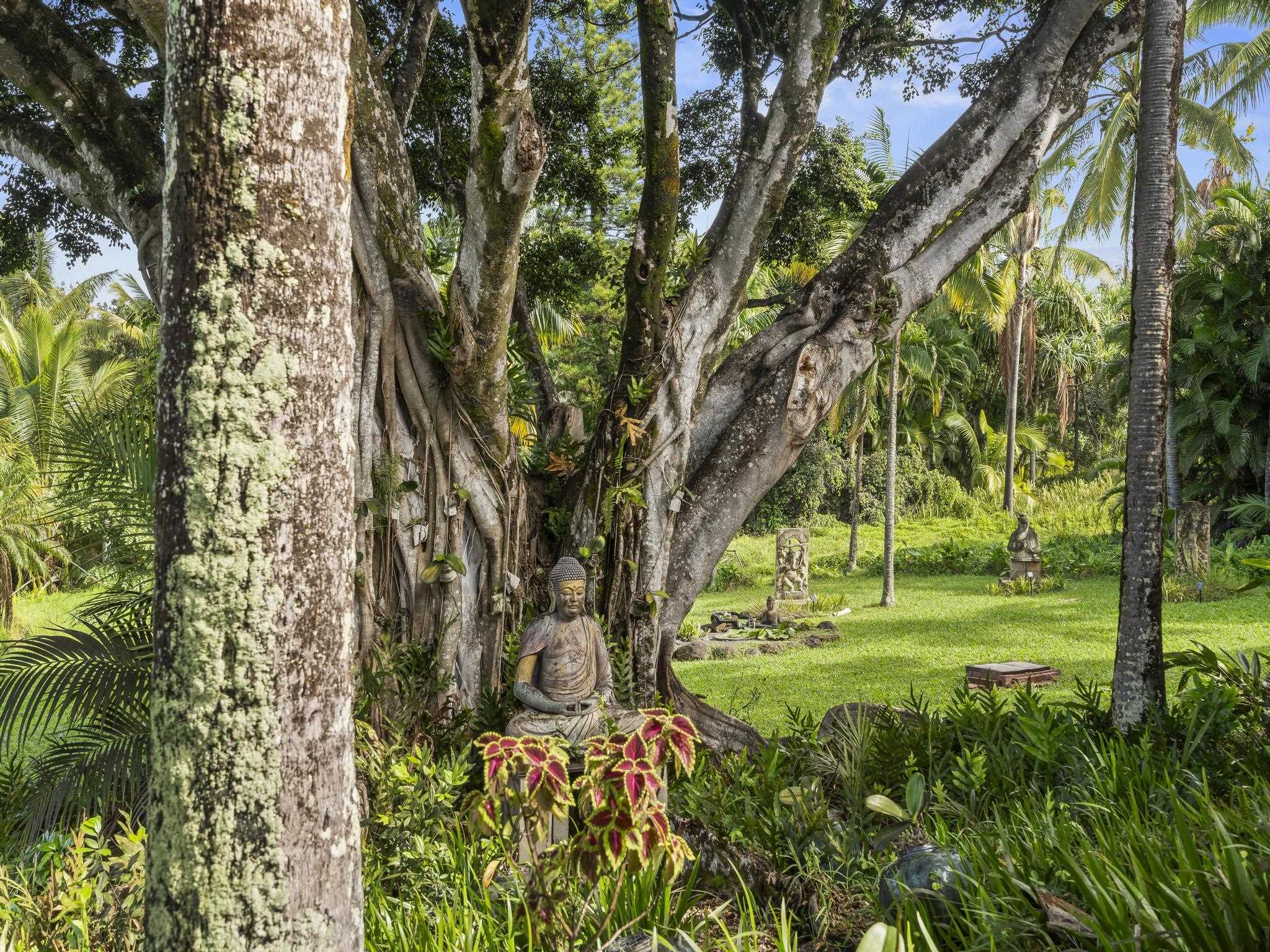 245 North Honokala Road, Unit A Haiku, HI 96708 - Photo 20 of 36 a view of yard with green space