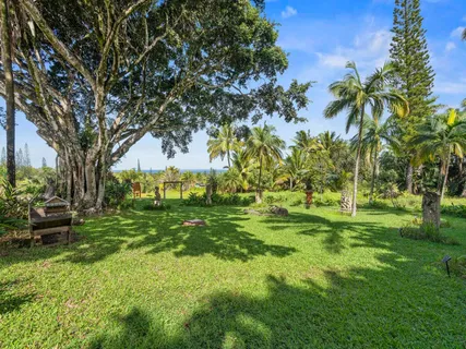 an outdoor space with plants