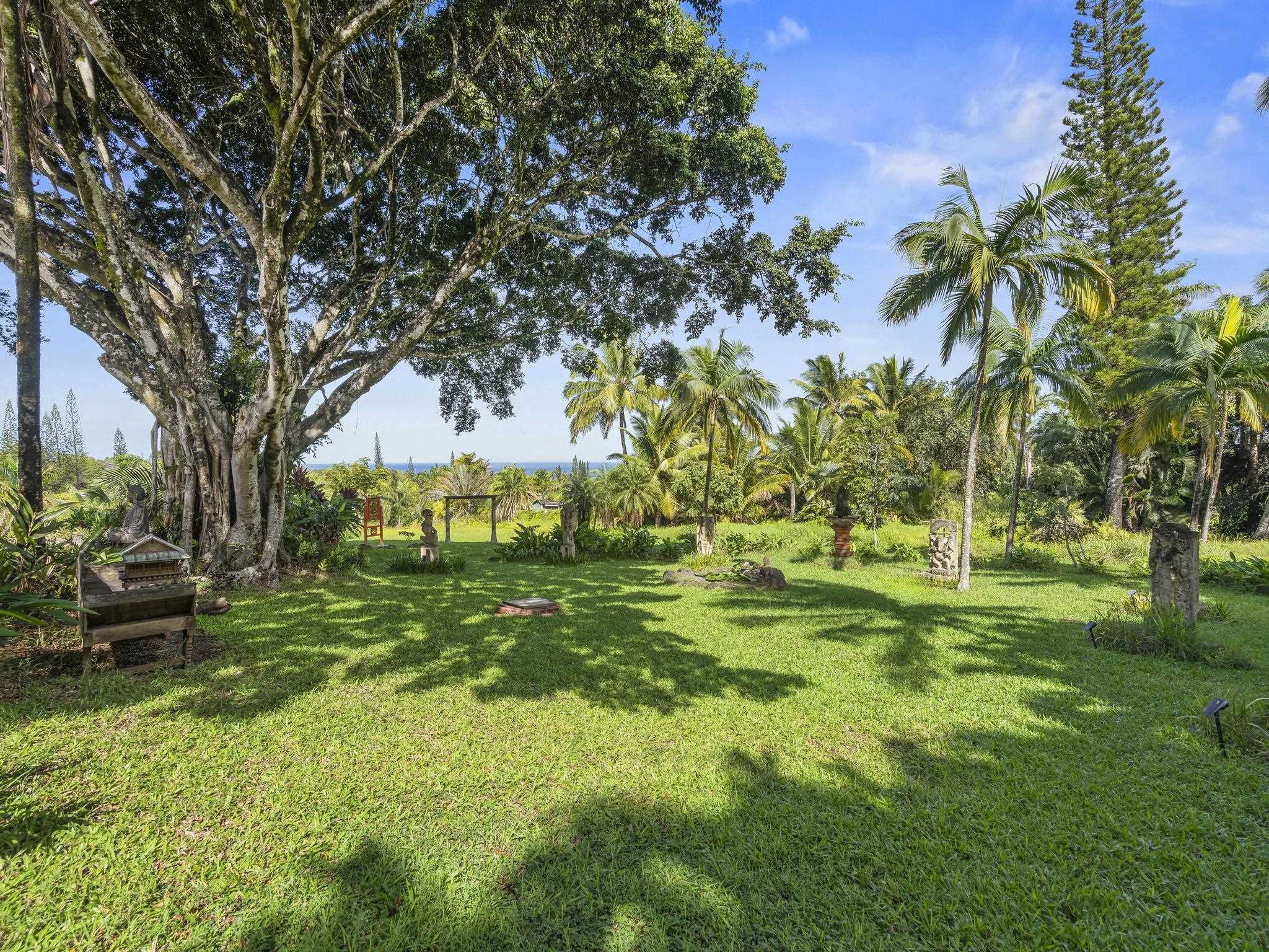 245 North Honokala Road, Unit A Haiku, HI 96708 - Photo 22 of 36 a view of a park with large trees