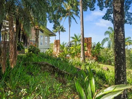 a view of a garden