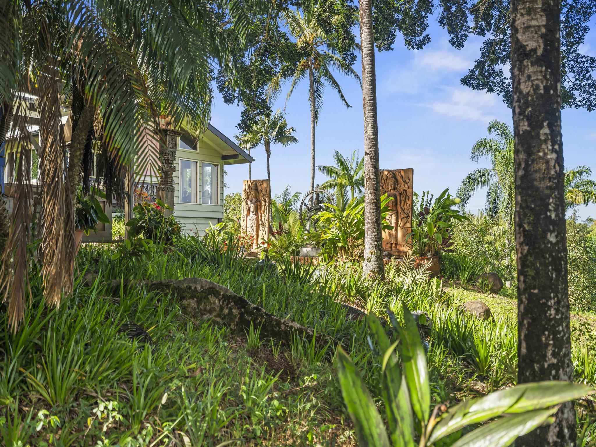 245 North Honokala Road, Unit A Haiku, HI 96708 - Photo 23 of 36 an outdoor space with plants