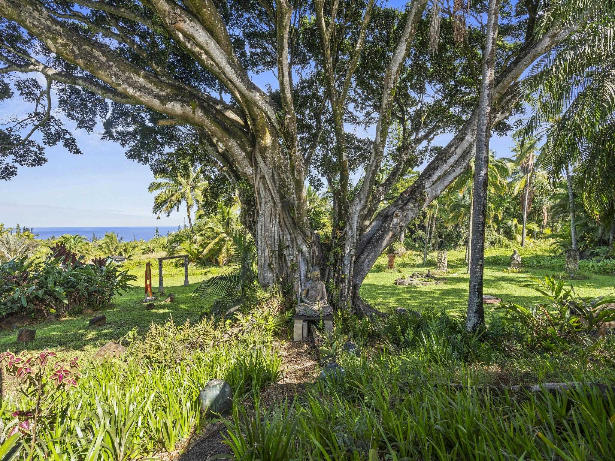 245 North Honokala Road, Unit A Haiku, HI 96708 - Photo 24 of 36 a view of a garden